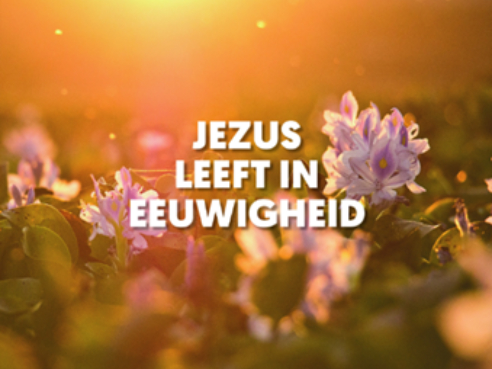 vrijdag, 10 april 2026